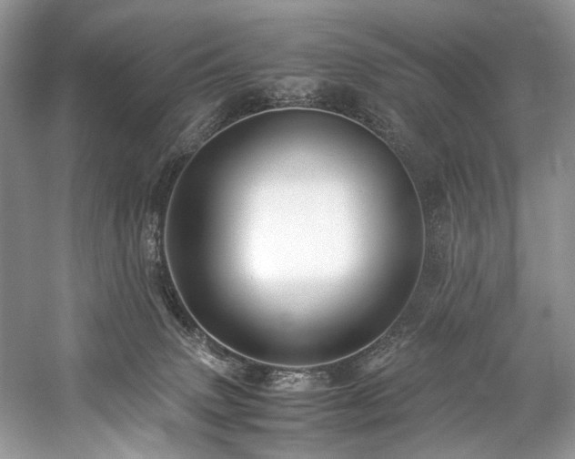 X0000059070083200510071120