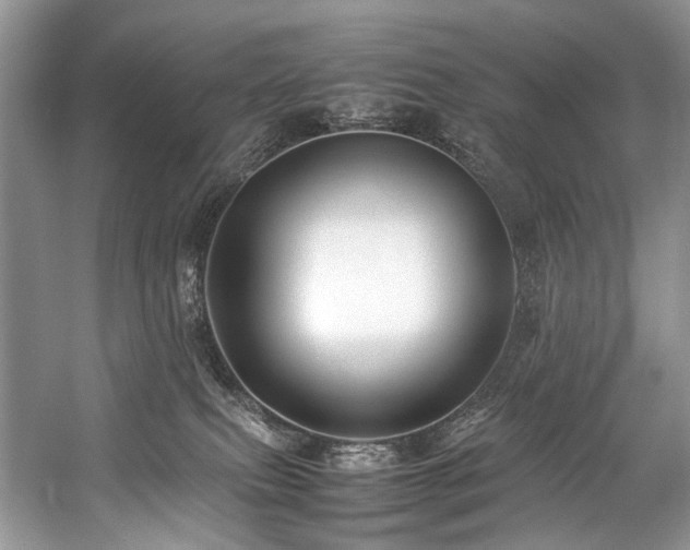 X0000059070087200510071120