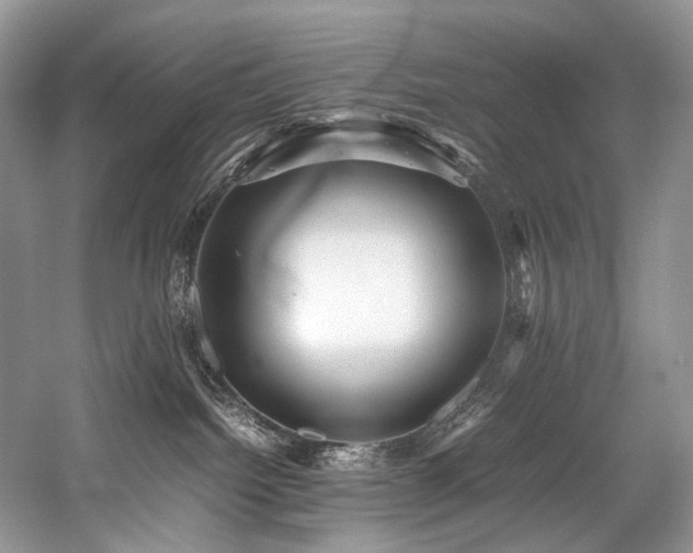 X0000059070092200510071120