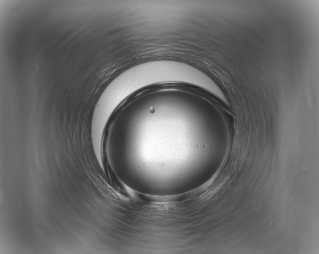 X0000059070096200510071120