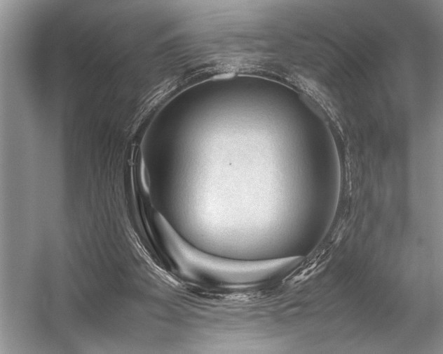 X0000059070105200510071119