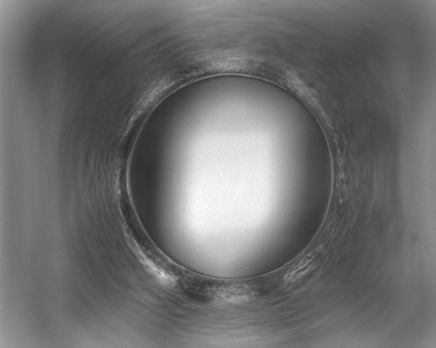 X0000059070106200510071119