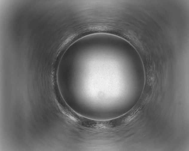 X0000059070111200510071119