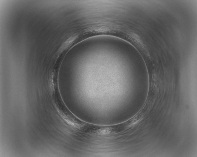 X0000059070116200510071119