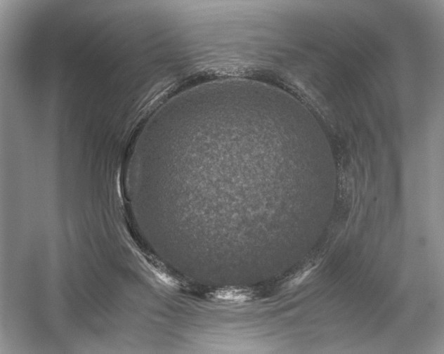 X0000059070117200510071119