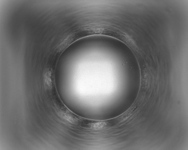 X0000059070122200510071119