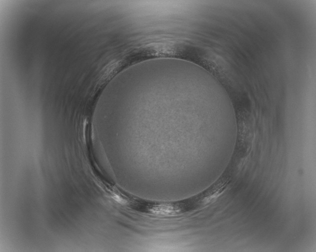 X0000059070123200510071119