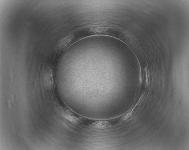 X0000059070128200510071119