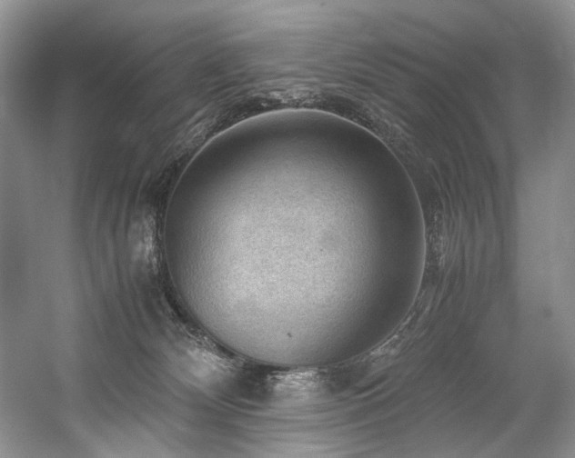 X0000059070132200510071119