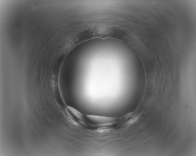 X0000059070135200510071119
