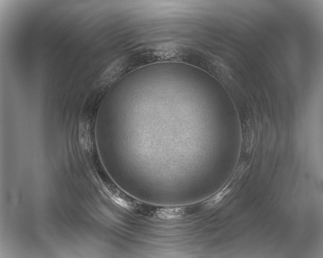 X0000059070136200510071119