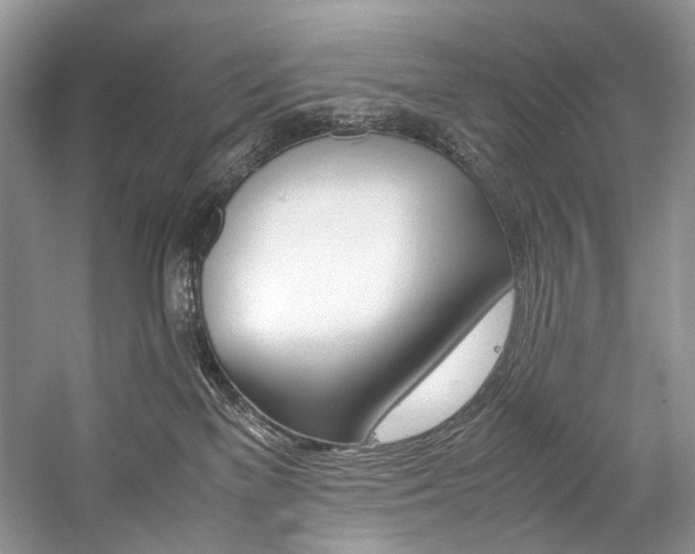 X0000059070137200510071119