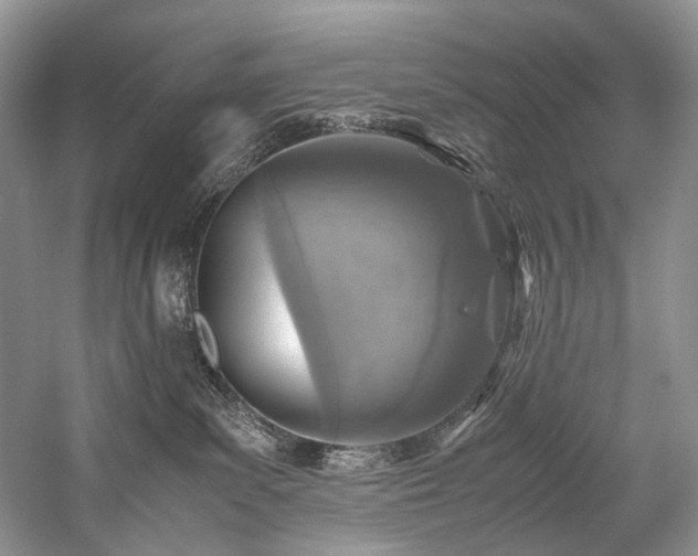 X0000059070139200510071119