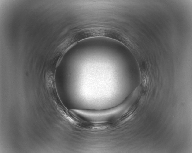 X0000059070141200510071119