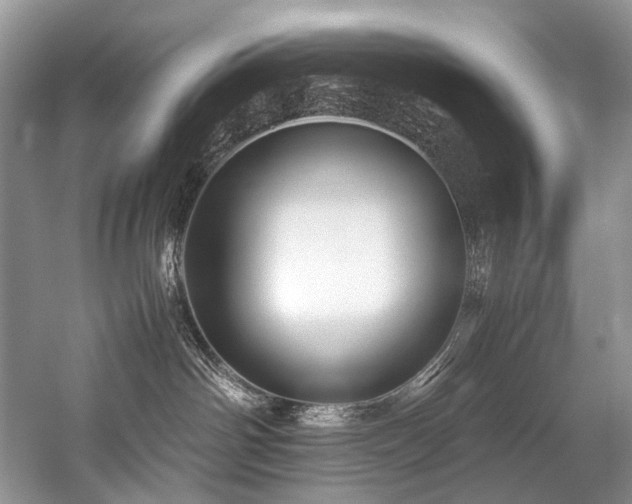 X0000059070142200510071119