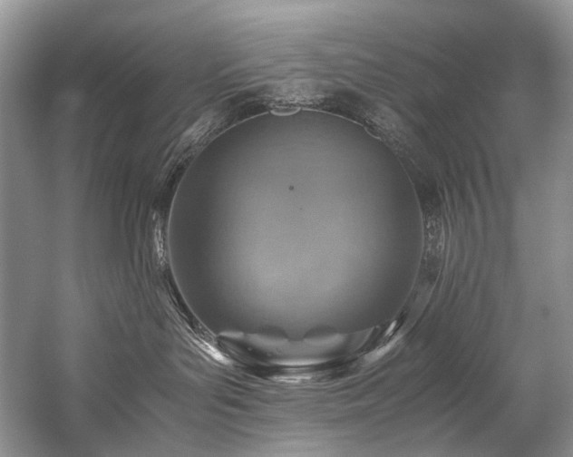 X0000059070143200510071119