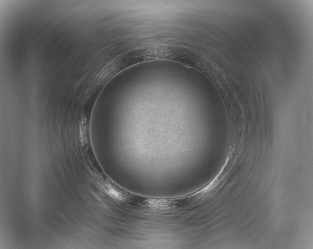X0000059070144200510071119