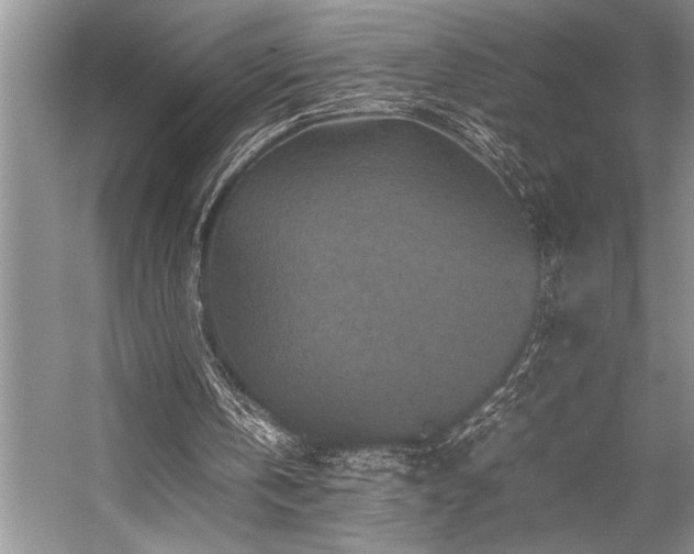 X0000059070146200510071118