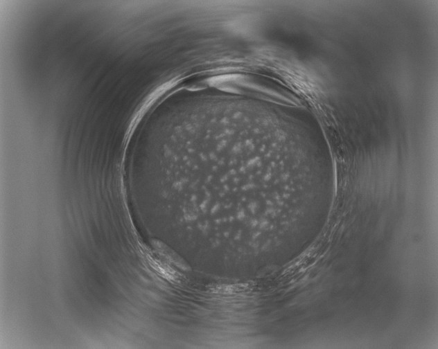 X0000059070147200510071118