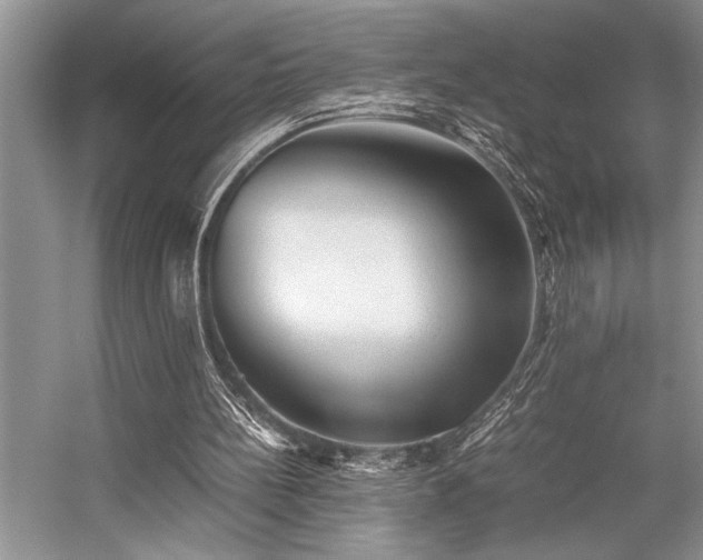 X0000059070148200510071118