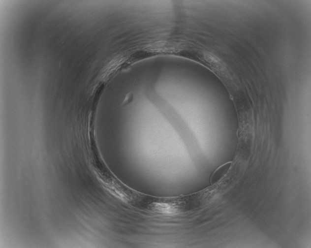 X0000059070167200510071118