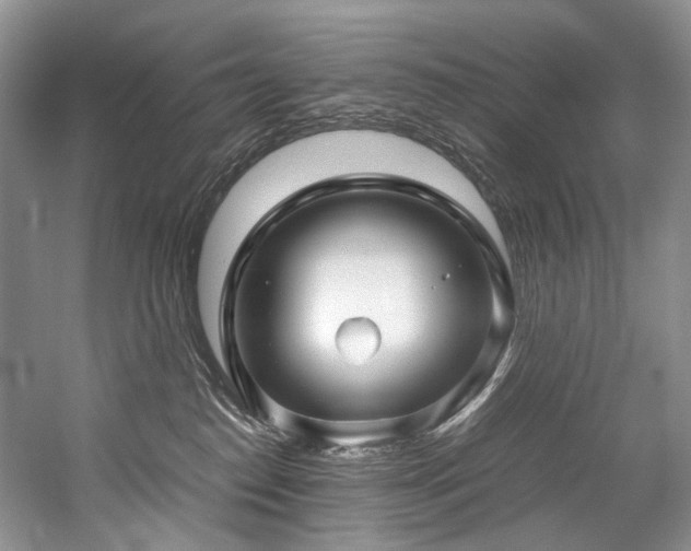 X0000059070186200510071119