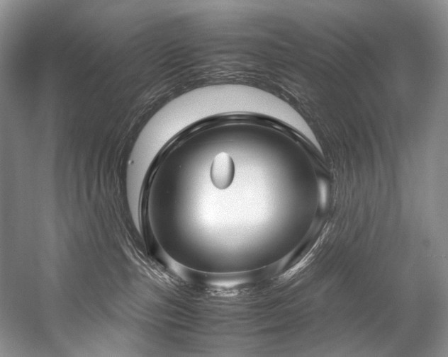 X0000059070187200510071119