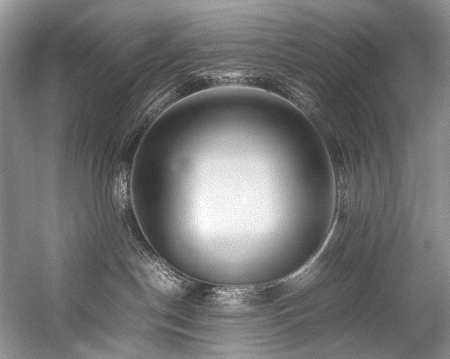 X0000059070190200510071119