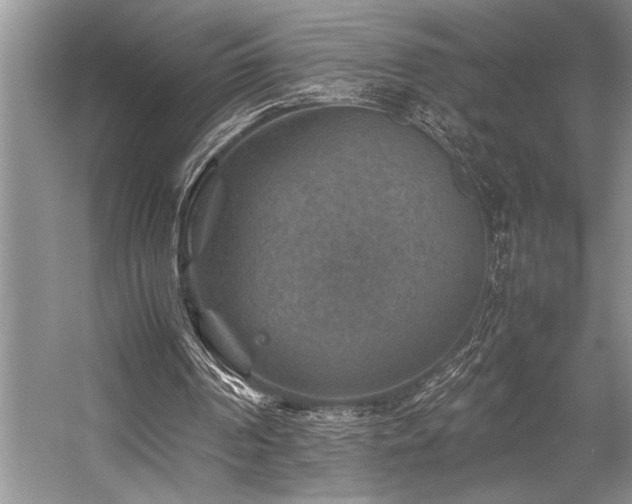X0000059070194200510071118