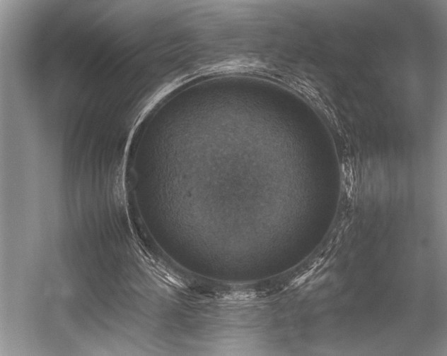 X0000059070196200510071118