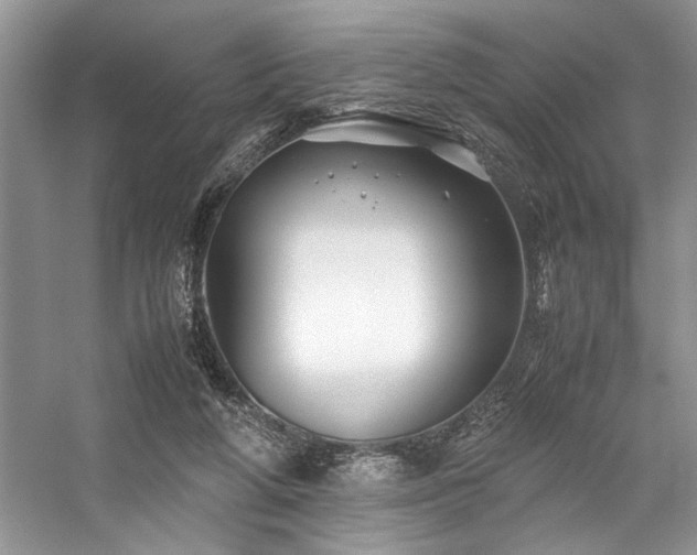 X0000059070210200510071118