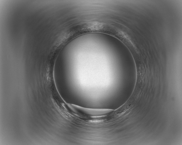 X0000059070212200510071118