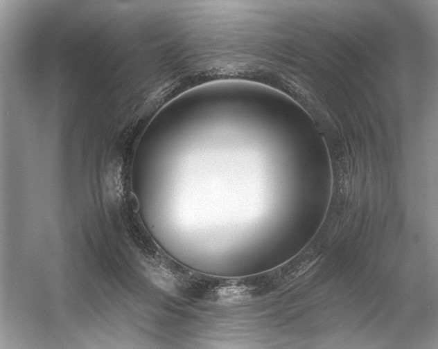 X0000059070216200510071117