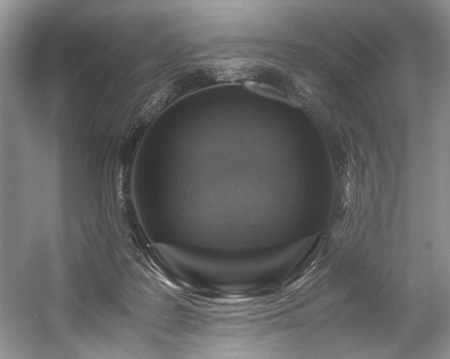X0000059070219200510071117