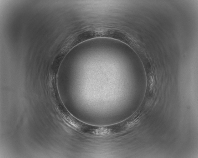 X0000059070225200510071117