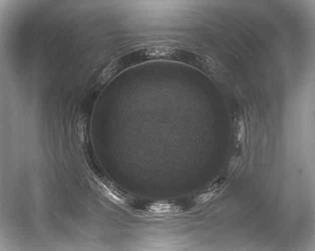 X0000059070227200510071117