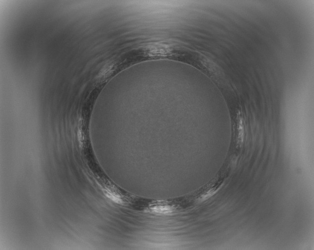 X0000059070228200510071117