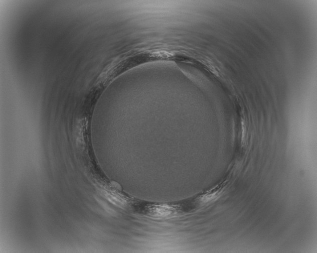 X0000059070229200510071117