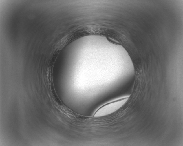 X0000059070233200510071117