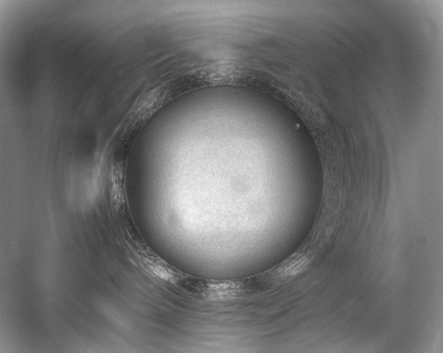 X0000059070240200510071117