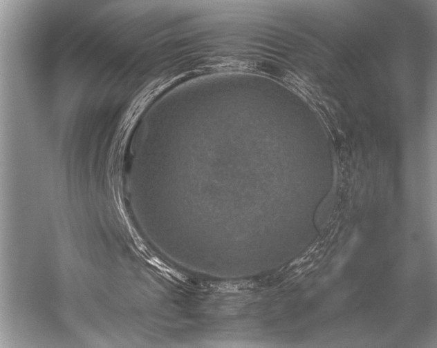 X0000059070241200510071116