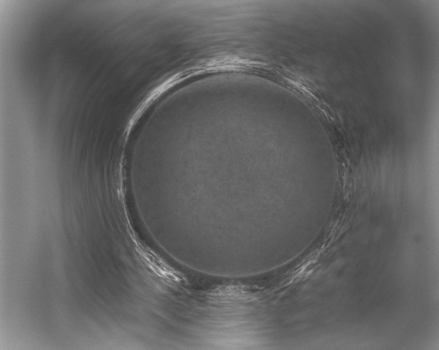 X0000059070244200510071116