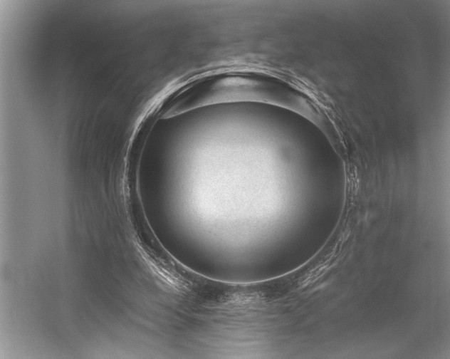 X0000059070248200510071116