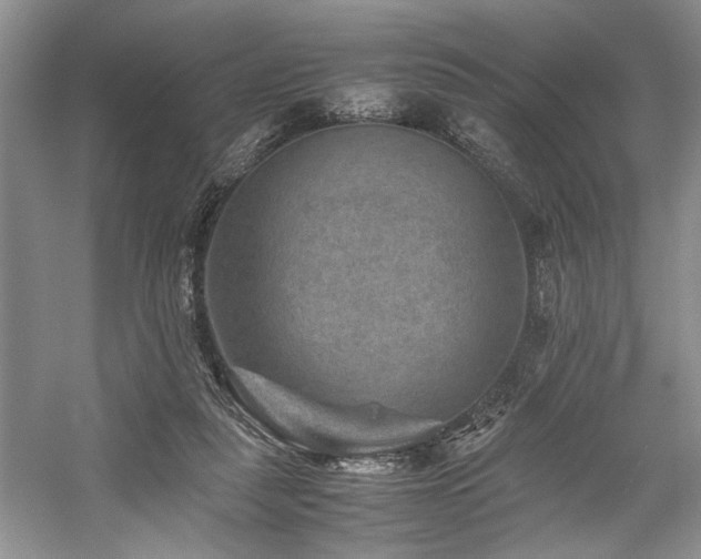 X0000059070259200510071116