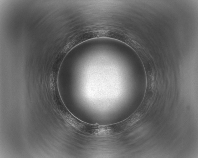 X0000059070274200510071116
