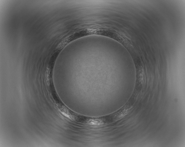 X0000059070275200510071116