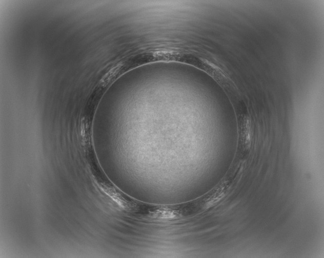 X0000059070276200510071117