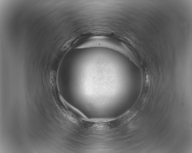 X0000059070280200510071117