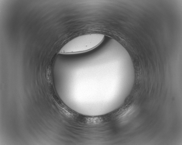 X0000059070281200510071117