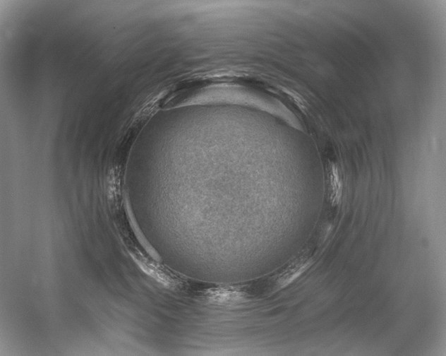 X0000059070284200510071117
